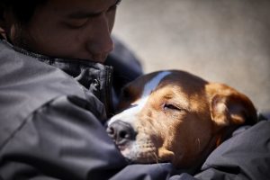 Rescue Animals help Soldiers with PTSD