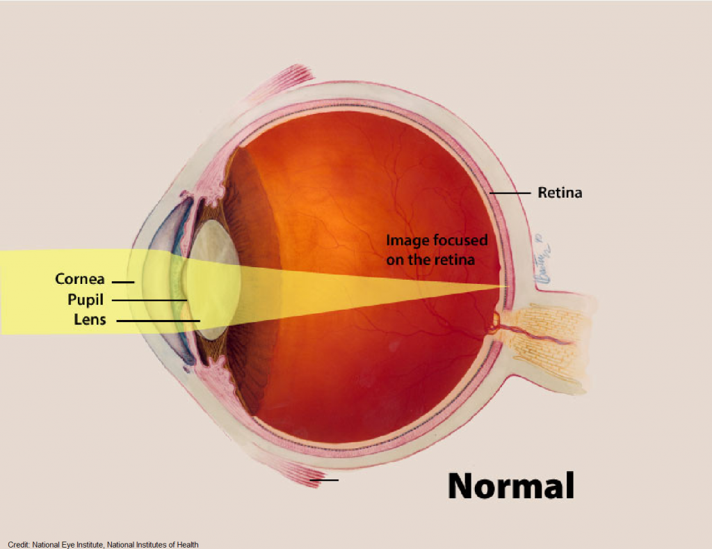 Understanding Vision | Moran Eye Associates